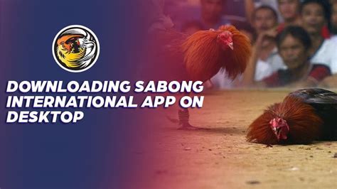 sabong international app